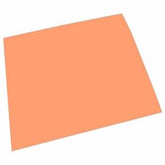 LAMINA GOMA EVA 40X60 PIEL | 10 UNIDADES | (PRYSE, S,A,)